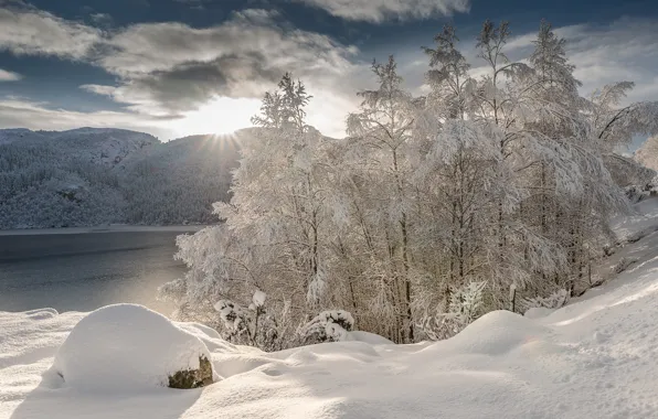 Картинка зима, снег, деревья, горы, река, сугробы