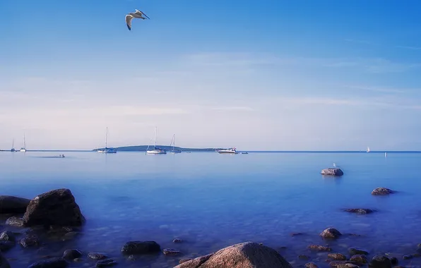 Картинка море, небо, природа, камни, птица, берег, лодка, горизонт