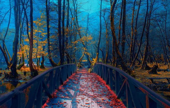 Картинка осень, мост, парк, река, листва, Босния, Mevludin Sejmenovic