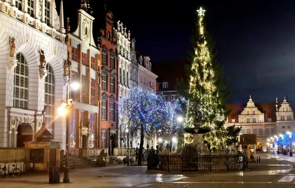 Night, street, building, poland, gdansk