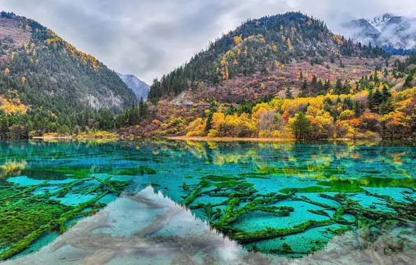 Осень, лес, горы, озеро, отражение, берег, склоны, мох
