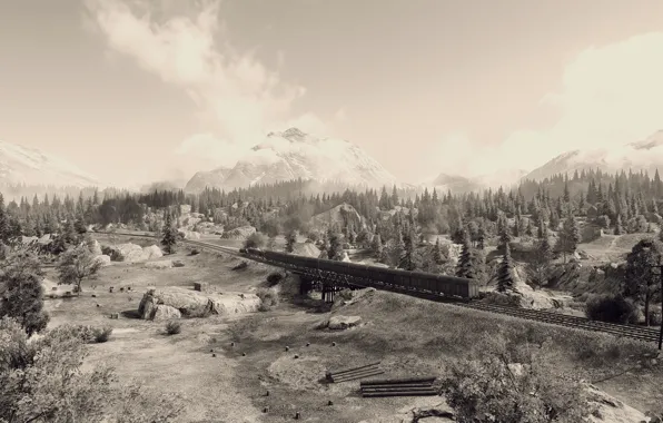 Карта, танки, World of Tanks, Тихий берег, Serene Coast