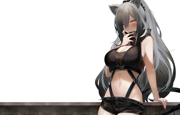 Girl, sexy, cleavage, shorts, long hair, boobs, animal ears, anime