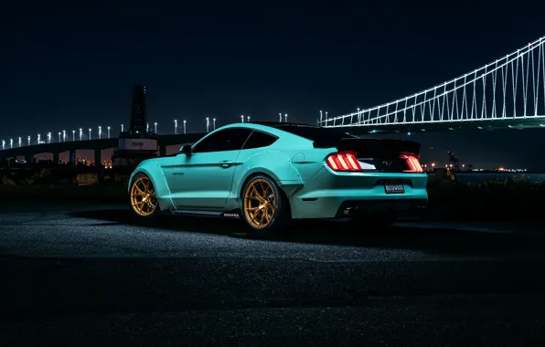 Картинка Mustang, Ford, Muscle, Car, Night, Wheels, Rear, Bule