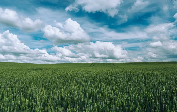 Природа, Облака, Поле, Трава, Nature, Clouds, Grass, Green