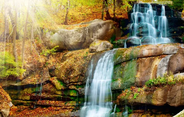 Картинка осень, лес, листья, деревья, парк, ручей, камни, водопад