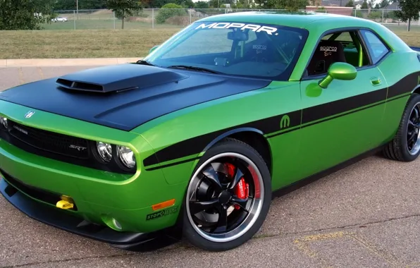 Машина, авто, асфальт, город, зеленый, цвет, Dodge, Challenger