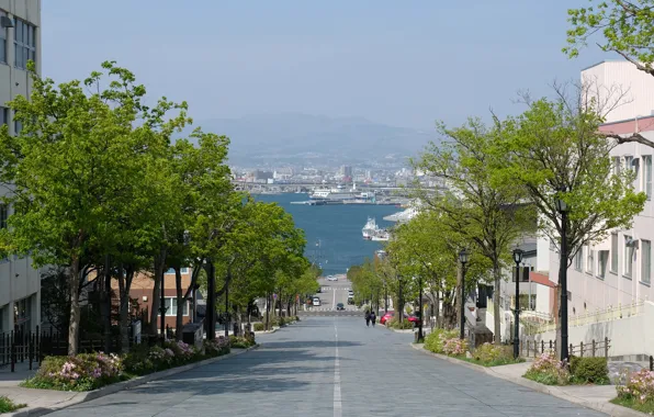 Дорога, море, деревья, горы, дома, корабли, Япония, залив