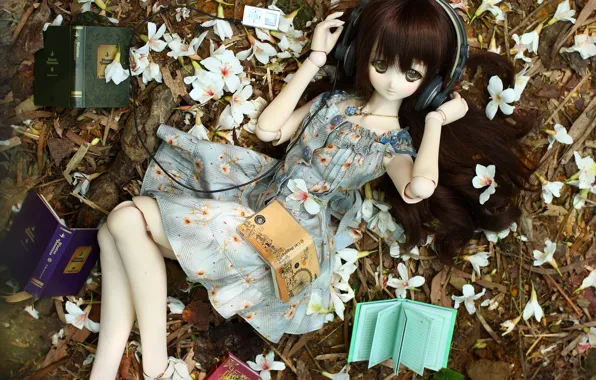 Игрушка, книги, кукла, наушники