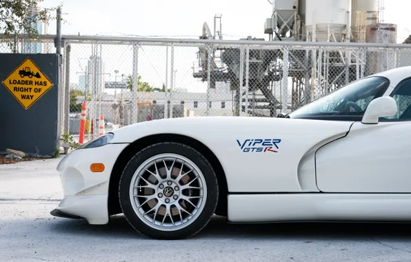 Картинка Колесо, Надпись, Dodge Viper, Передок, 1997, GTSR