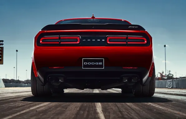 Картинка Dodge Challenger, 2018, Muscle car, SRT, Demon, 2018 Dodge Challenger SRT Demon