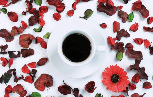 Картинка цветы, кофе, лепестки, чашка, flowers, cup, coffee, petals