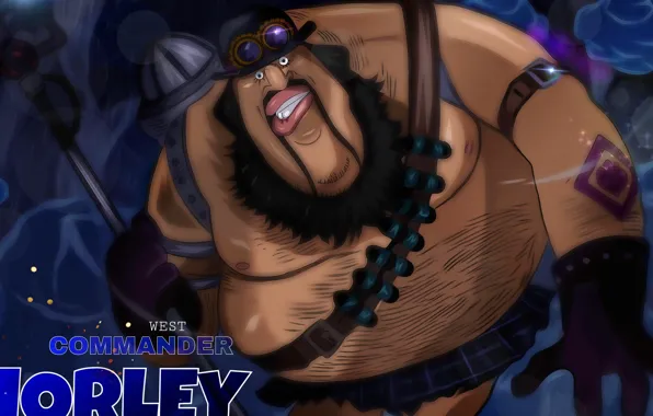 One Piece, anime, asian, manga, oriental, asiatic, japonese