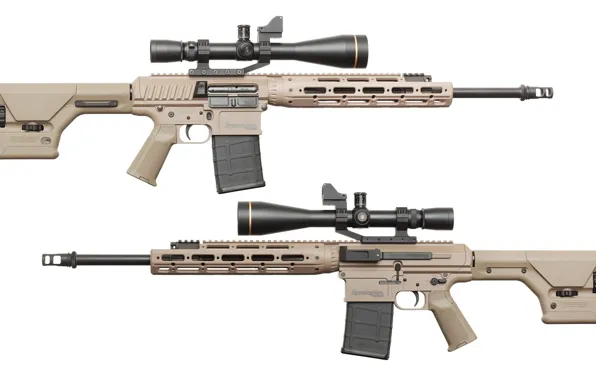 Gun, weapon, rifles, telescopic lenses, Remington, remington, Remington R11 RSASS, Remigton Defence