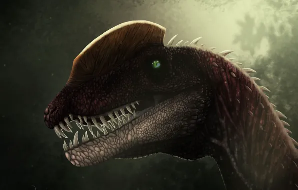 Динозавр, голова, dilophosaurus