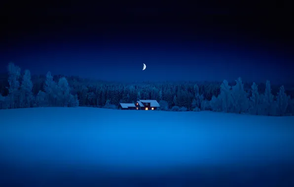 Картинка лес, снег, ночь, месяц, домик