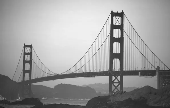 USA, Golden Gate Bridge, bridge, California, San Francisco, fog, black and white, architecture