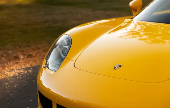 Картинка Porsche, logo, close-up, front, Porsche Carrera GT, badge