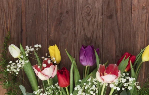 Цветы, colorful, тюльпаны, flowers, beautiful, tulips, spring, multicolored