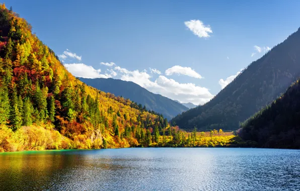 Осень, лес, небо, облака, деревья, горы, озеро, красота