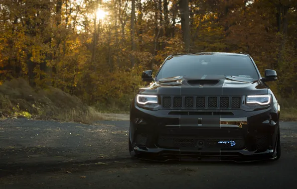 Картинка SRT8, Black, Autumn, Jeep, Grand Cherokee, Forest, Brick, TrackHawk