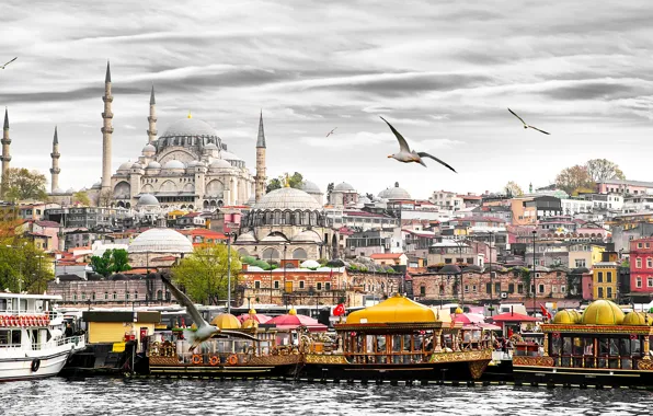 Картинка чайки, дома, лодки, башни, катера, Стамбул, Турция, дворец