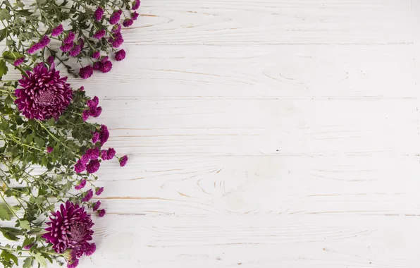 Белый, цветы, фон, букет, Purple, wood, flowers, композиция