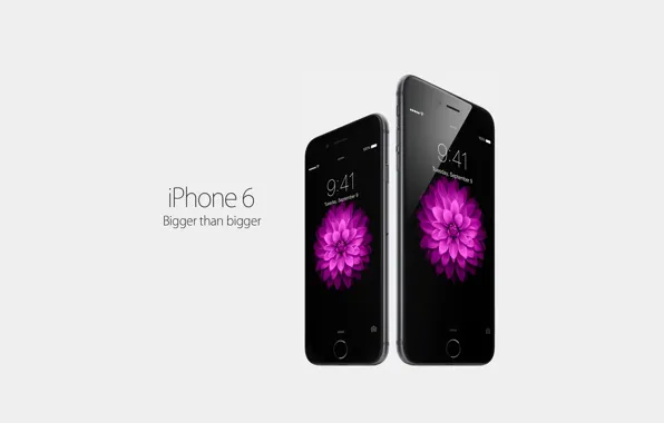 Картинка Apple, metal, powerful, surface, iPhone6, a new generation, power efficient, Larger
