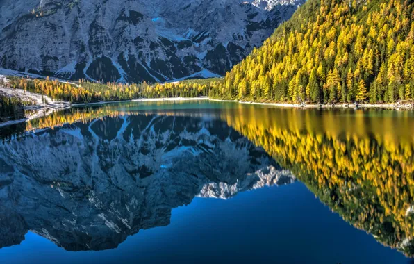 Картинка осень, лес, горы, озеро, отражение, Италия, Italy, Доломитовые Альпы