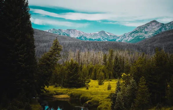 Небо, свобода, река, красота, простор, river, sky, freedom