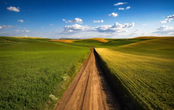 Дорога, зелень, поле, лето, трава, облака, путь, синева