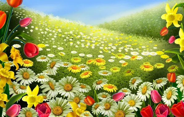 Картинка поле, лето, небо, цветы, природа, голубой, поляна, ромашки