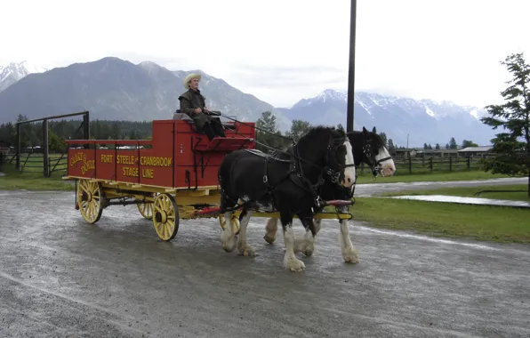 British Columbia, wagon, Horses, B.C., cranbrook, fort steele