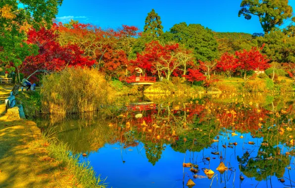Картинка фото, HDR, Природа, Осень, Деревья, Япония, Пруд, Парк