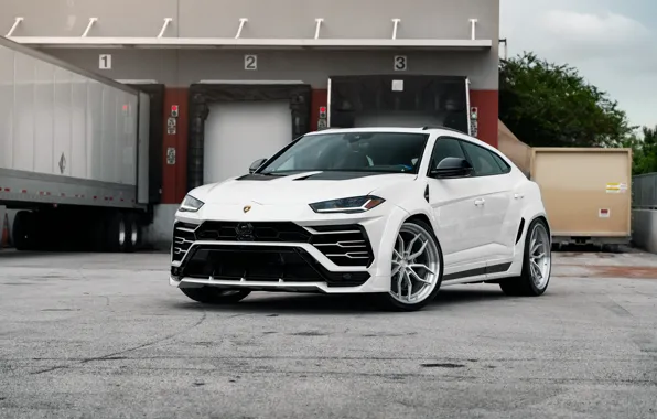 Картинка Lamborghini, White, SUV, Urus, VAG, Sight