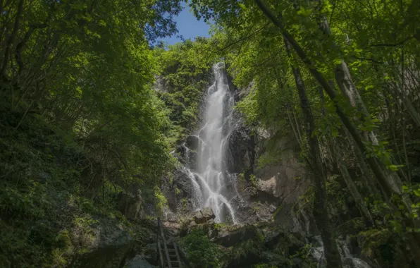 Лес, водопад, Зелень, Природа