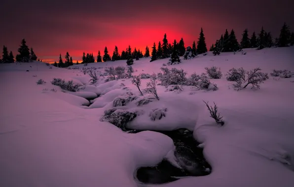 Картинка зима, снег, закат, природа