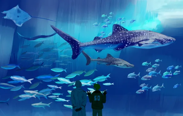Картинка аквариум, акула, аниме, большой, арт, скат, наблюдение, морские