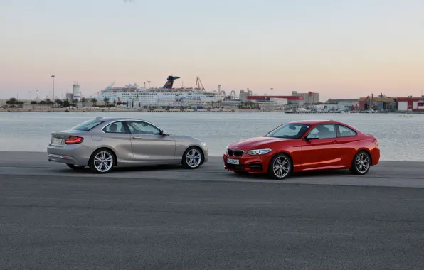 BMW, Coupe, 2013, 2 Series