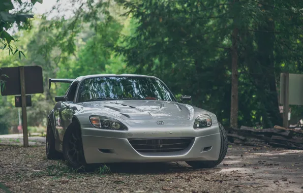 Лес, природа, honda, japan, хонда, jdm, tuning, s2000