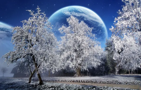 Картинка зима, снег, деревья, планета