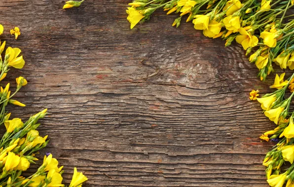 Цветы, желтые, yellow, wood, flowers, spring