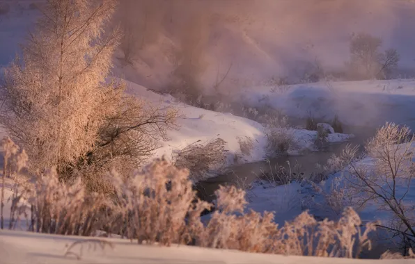 Картинка зима, снег, деревья, пейзаж, природа, туман, рассвет, мороз