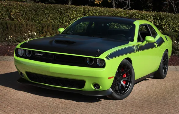 Dodge, Challenger, 2014, T/A