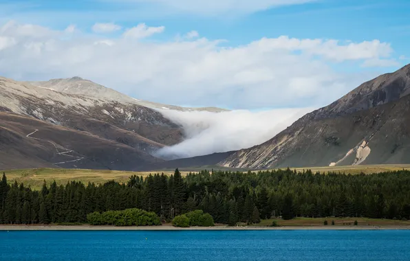 Картинка sky, trees, landscape, New Zealand, nature, water, mountains, clouds