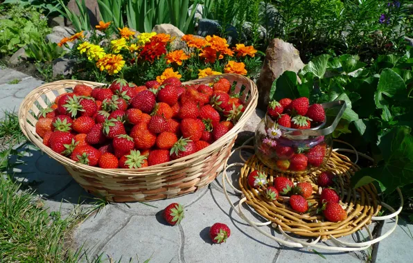 Лето, ягоды, корзина, клубника