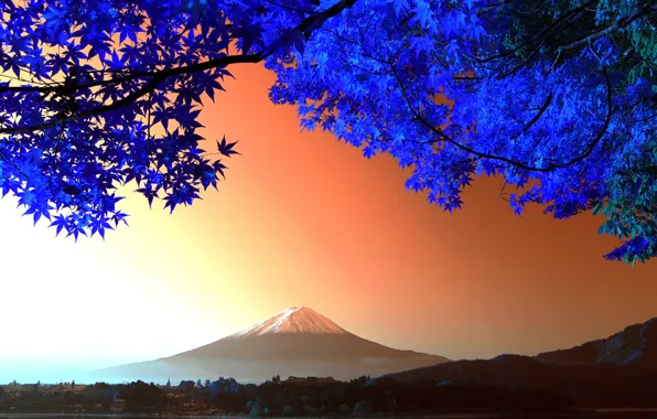 Картинка листья, дерево, гора, Япония, Фудзияма
