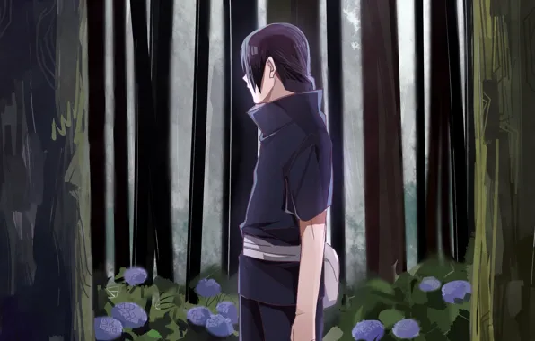 Лес, заросли, naruto, art, uchiha itachi