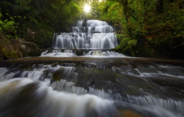 Картинка лес, река, водопад, Новая Зеландия, каскад, New Zealand, Purakaunui Falls, Purakaunui River