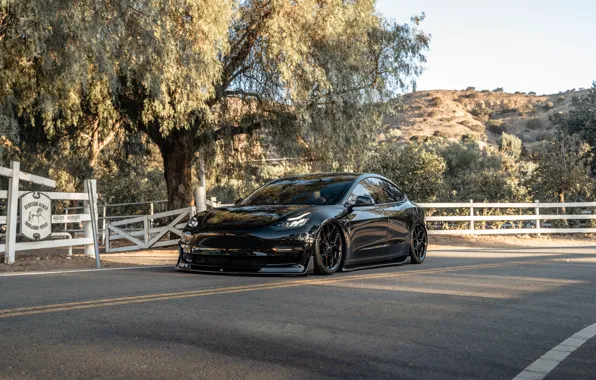 Картинка black, Tesla, Model 3 Performance